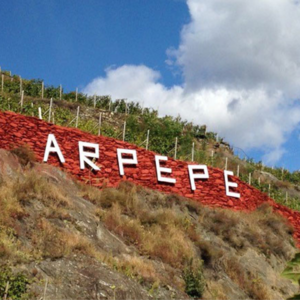 Ar.Pe.Pe., dal 1860 radici profonde per vini senza tempo